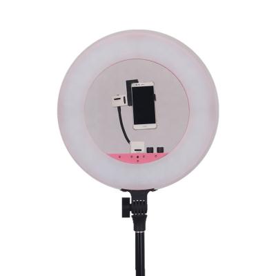 China High Quality Smart Fill/Long Working Time 18 Inch Ring Light Phone Fill Photography 48w Ring Light Makeup for sale