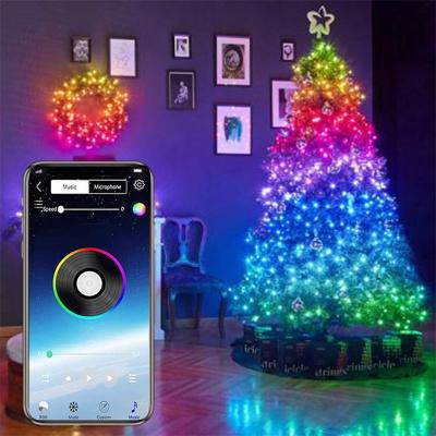 China RESIDENTIAL Theme Park Hotel ROAD Garden Christmas Decoration Waterproof Bluetooth APP Smart Controller LED Remote String RGB Lights for sale