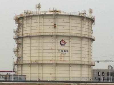 Cina Sistema di recupero del gas in torcia con controllo del sito su installazione, Commissione, preparandosi in vendita