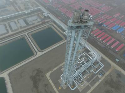 China Petrochemical Industries Elevated Flare System For Oil & Gas Refinery With EPC Contracting Service for sale