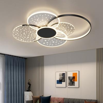 China Modern Minimalist Ceiling Lamps Living Room Designer Hall Nordic Luxury Starry Ceiling Lamps(WH-MA-282) for sale