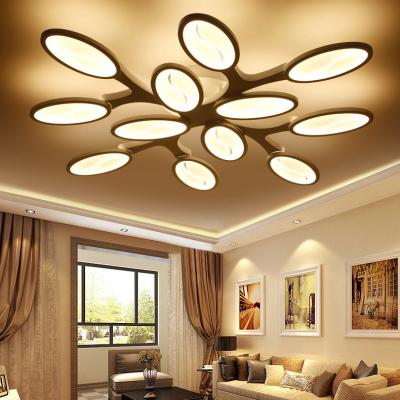 China Simple bedroom ceiling lights for Living room Bedroom Kitchen (WH-MA-63) for sale