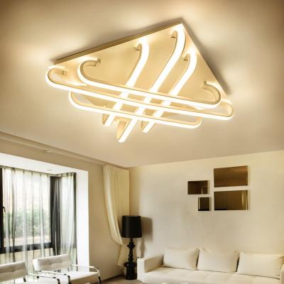 China Pretty Modern ceiling Lights for Indoor house ceiling decoration Lamp (WH-MA-110) for sale