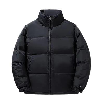 China Viable winter white duck down jacket men's youth collar down jacket thick warm standing down jacket men for sale