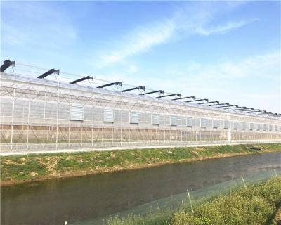 China PE Greenhouse Frame Steel Pipe Structure for sale