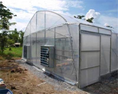 China PE Greenhouse UV Plastic Sheet Film For Agriculture for sale