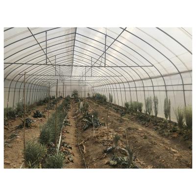 China PE Economic Popular Cheapest Poly Poly Tunnel Greenhouse For Sale for sale