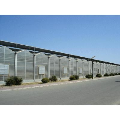 China High Quality Cheap Polycarbonate Sheet Glass Greenhouse for sale