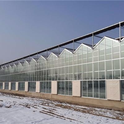 China Hot Sale Polycarbonate Glass Greenhouse Agriculture With Irrigation&Hydroponics Equipment for sale