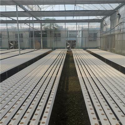 China PVC NFT Vertical Hydroponic 100*50 Gutter For Vegetable Planting for sale