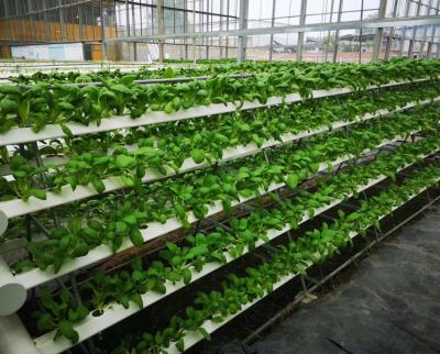 China PVC Hydroponic Growing Systems Vertical For Greenhouse for sale