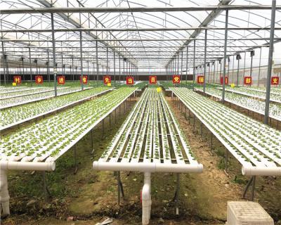 China Agricultural Farm Equipment Water Pan For Agricultural Plants Large Greenhouse for sale