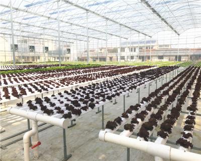 China Powerful PVC China Products Hydroponics System Agriculture Planting Miniature Greenhouse for sale