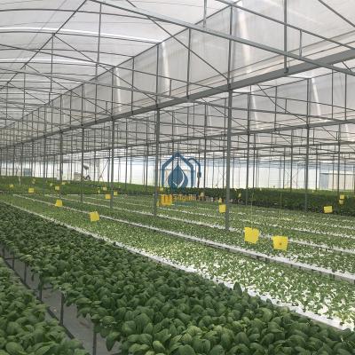 China PVC Nft Nft Hydroponics Vertical Hydroponics Channel Nft Grow System For Leafy Vegetable for sale