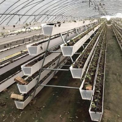 China PVC Aquaponics Commercial Led Strawberry Vertical Indoor Home Greenhouse Hydroponic Growing Systems for sale