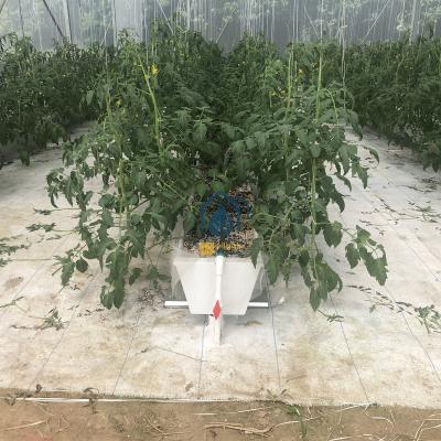 China China PVC NFT Standard Hydroponic Gutter for Strawberry and Tomato Planting for sale