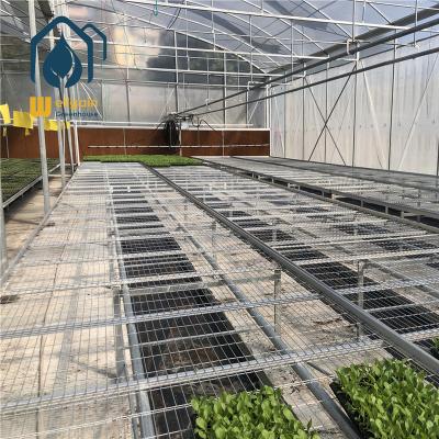 China Hot Dip Galvanized Steel Wire Mesh Planting Rolling Table Strawberry Seeding Bench For Greenhouse for sale