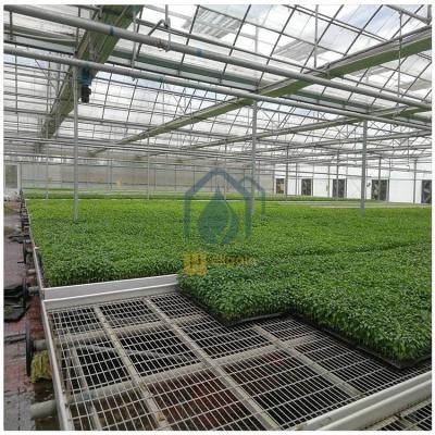 China Hot Dip Galvanized Steel Movable Seed Bed Bench For Seedling Space Saving for sale