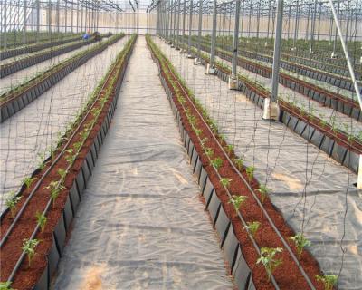 China PP Cocopeat Substrate Dutch Bucket For Tomato Promotion Cultivation for sale