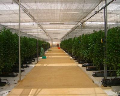 China PP Tomato Rose Cucumber PP Growing Trough System Hydroponics Growing For Greenhouse for sale