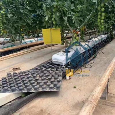 China Factory Price PP Growing Greenhouse Systems for sale