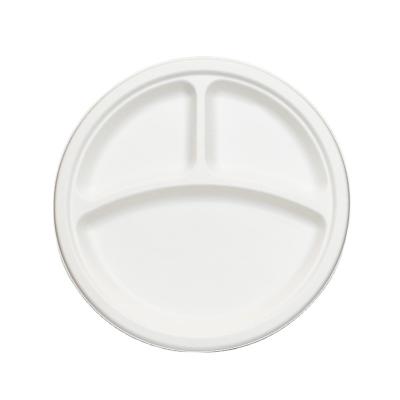 China 9 Inch Eco-friendly Biodegradable Sugar Cane Platos Biodegradables Small Paper Plates Shaped Paper Part Plates Bagasse Compostable Dish for sale