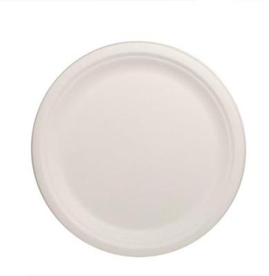 China 10 Inch Durable Minimalist 100% Catering Biodegradable Sugarcane Round Dish Plates Water& Hot Oil Resistant Disposable White Wedding Dish for sale