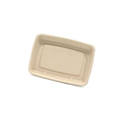 China Newer 100% Sugar Cane Eco-Friendly Free Sample Rectangle Shallow Eco-Friendly Biodegradable Picnic Tray for sale