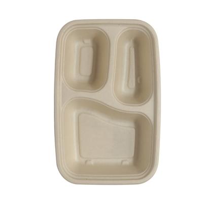 China Minimalist 1000ML 3 Section Factory Supplier Food Container Food Bowl Hot Water And Oily Resistant Disposable Bagasse Sugar Cane for sale