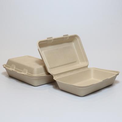 China Biodegradable compostable at minus 90 day bagasse bagasse hot sale disposable degradable takeaway packaging microwave large lunch box for sale