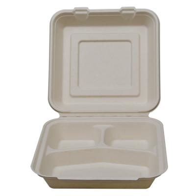 China Minimalist Bagasse 3 Compartment 10 Inch Recyclable Disposable Menu Boxes Sugar Cane Pulp Food Cantainers Heavy Duty Natural for sale