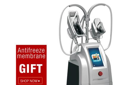 Chine Cryolipolysis 4 manipule le criolipolise de criolipolisis amincissant la grosse machine de congélation à vendre