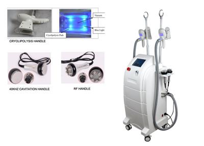 China Manijas multifuncionales multipolares de la máquina 2 de la belleza del RF Cryolipolysis con la cavitación 40khz en venta