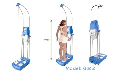 China Multiple Language Body Composition Analyzer With STN LCD Touching Screen for sale