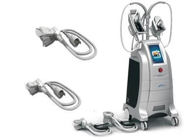 China 2 Handles Cryolipolysis Slimming Machine , Lipo Laser Slimming Machine for sale