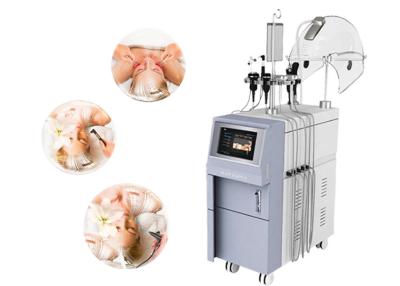 China Professional Multifunction Oxygen Facial Machine / Skin Rejuvenation Machine for sale