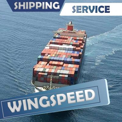 China Reliable and good air freight to South Africa wholesale skype: bonmedjoyce Wingspeed for sale