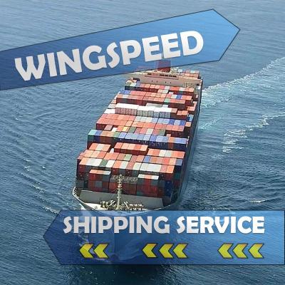 China Professional freight forwarder ups/DHL/Federal Express/tnt express to USA from China Skype:bonmedlisa Wingspeed for sale