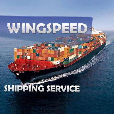 China skype airshipping door to door express account service: bonmedcici Wingspeed for sale