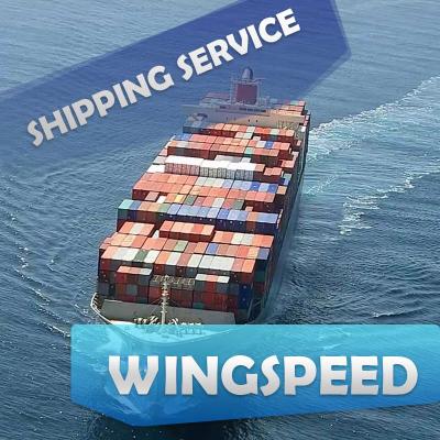 China experienced FCL/LCL sea freight lcl shipping to Amazon Skype: bonmedlisa Wingspeed for sale