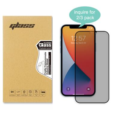 China [2-Pack] High Quality Anti-Scratch Portrait Modes Spy Tempered Glass Privacy Screen Protector Anti Viewing Privacy For Iphone Xs 12 pro for sale