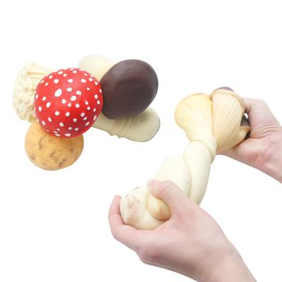 China 4 Types Hot Selling Fake Food Mushroom Toy Artificial Expandable Plant Strain Ball Educational Toy For Children for sale