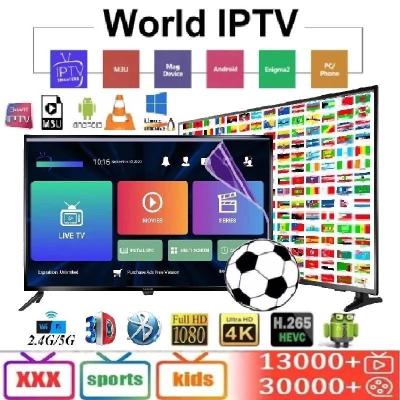 China Smarter IPTV IPTV Subscription 12 Months Stable Work No Deadening Android Iptv for sale