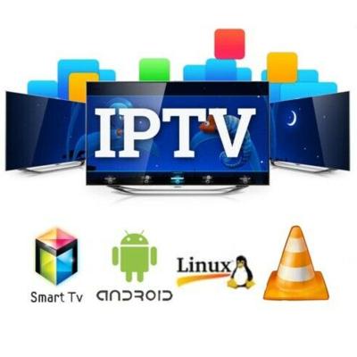 China Smarter IPTV IPTV Subscription 12 Months Android IPTV Reseller Panel 24h Free Trial IPTV Subscription M3u Link for sale