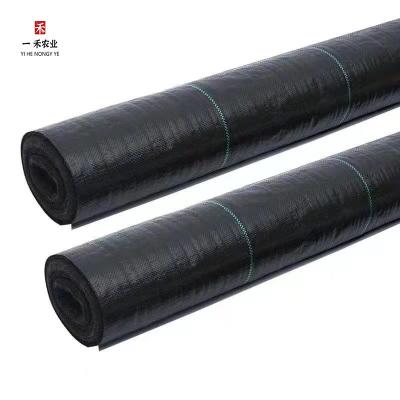 China Garden Agricultural Farm Black Anti Grass Cloth Weed Barrier Mat Mulch Control Fabric Tool PORTABLE for sale