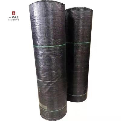 China Garden Weedmat Agriculture Ground Cover Landscape Fabric Telo Pacciamatura Plastic Mulch Film Agricultural for sale