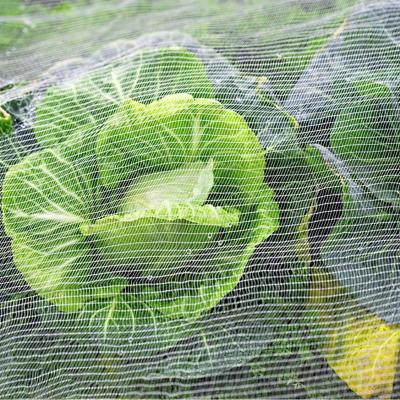 China Coated Silverfiber Mesh Anti Insect Net For Garden And Green House Fine Vent Covers Insect Proof Netting for sale