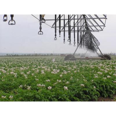 China s Top-Performing Center Pivot Agricultural Irrigation System for Hotels 16.8 cm Diameter for sale