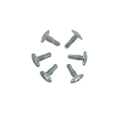 China Outstanding Quality 19mm Round Stainless Steel Round Head Phillips Bolt Screws for sale