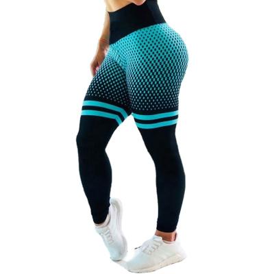 China Wholesale Antibacterial Amazon Hot Style Dot Digital Print Women Pants Yoga Gym Blue Quick Dry Gaiters for sale